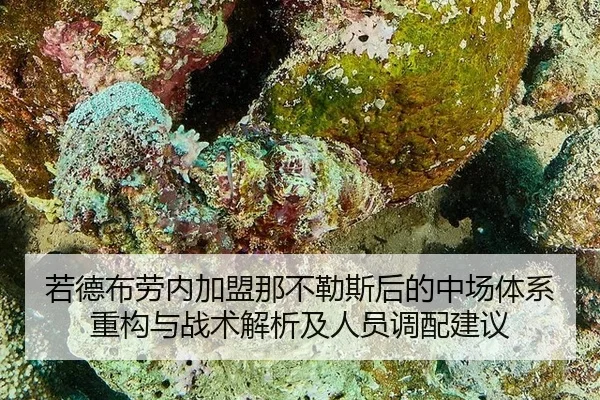 ruo-de-bu-lao-nei-jia-meng-na-bu-le-si-hou-de-zhong-chang-ti-xi-zhong-gou-yu-zhan-shu-jie-xi-ji-ren-yuan-diao-pei-jian-1-251.jpg